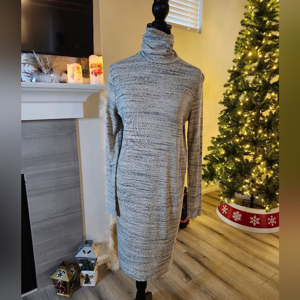 Warm turtle neck sweater dress